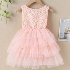 Toddler Girls Blush Lace and Tulle Layered Party Dress Size 3T